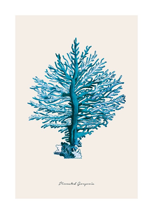 Blue Pinnated Gorgonia Poster / Naturmotive bei Desenio AB (12430)