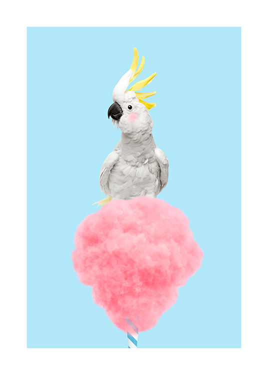 Cotton Candy Cockatoo Poster / Vögel bei Desenio AB (12478)
