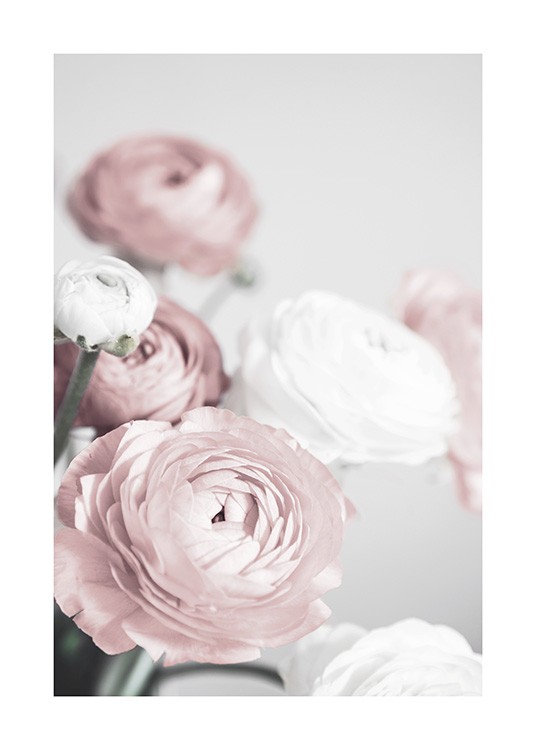 Lovely Roses Poster / Fotografien bei Desenio AB (12654)