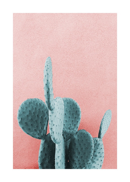 Mint Cactus Poster / Fotografien bei Desenio AB (12852)