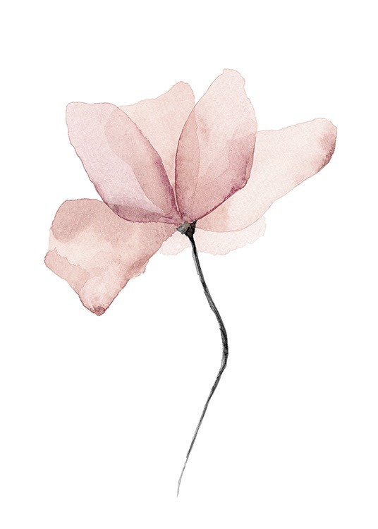  – Aquarell einer rosa Blume auf weißem Hintergrund