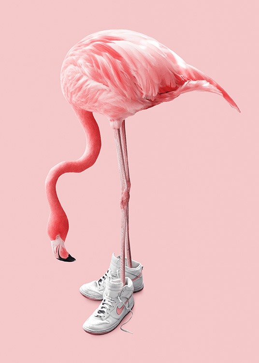 Sneaker Flamingo Poster / Fotografien bei Desenio AB (12942)