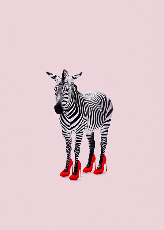 Zebra Heels Poster / Wilde Tiere bei Desenio AB (12943)