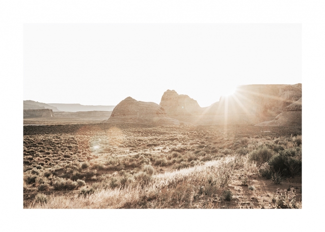  – Fotografie: Canyon- und Wüstenlandschaft im Gegenlicht