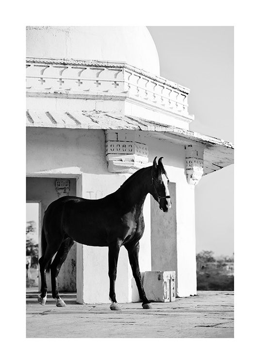 Fotografie eines schwarzen Pferdes vor einem alten Gebäude in Schwarz-weiß