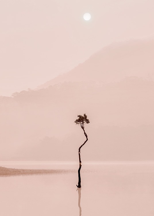 Fotografie, auf der sich ein Baum in einem rosa See im Nebel spiegelt. Im Hintergrund Berge und der Mond