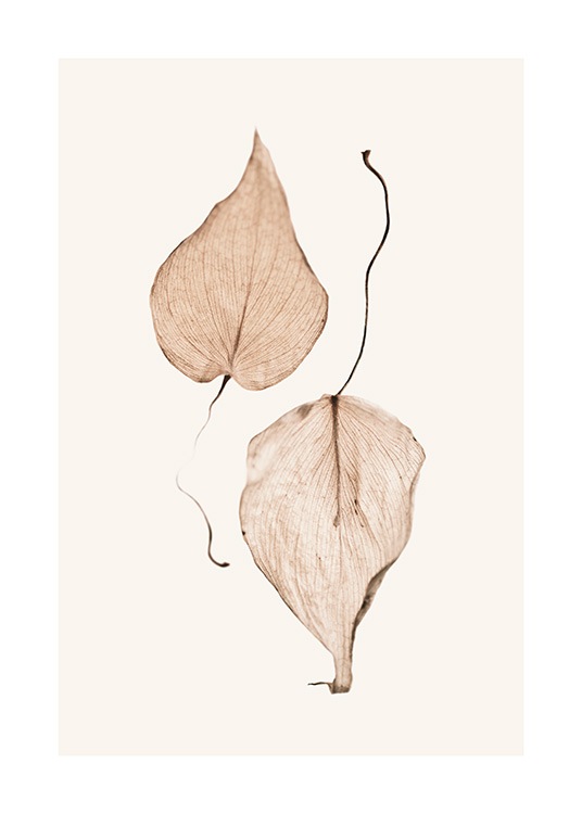  - Fotografie mit zwei braunen, getrockneten Blättern, die vor beigem Hintergrund nebeneinander liegen
