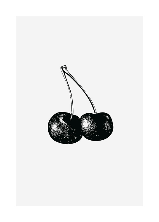  - Schwarz-weiß-Illustration von zwei Kirschen vor grauem Hintergrund