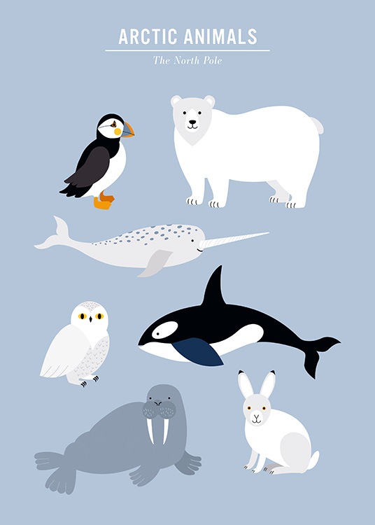  - Kinderposter mit einer grafischen Illustration in Blau mit arktischen Tieren