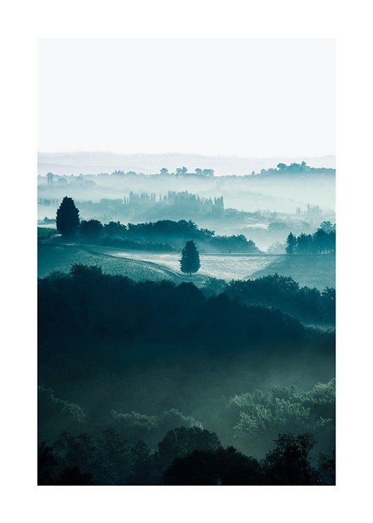  - Naturfotografie von Bäumen auf nebelbedeckten Feldern in der Toskana