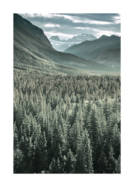 Rocky Mountains Forest Poster / Naturmotive bei Desenio AB (13592)