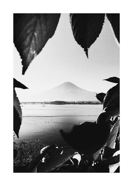 Mount Fuji B&W Poster / Berge bei Desenio AB (13638)