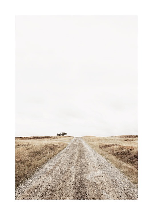 Lonely Road Poster / Landschaften bei Desenio AB (13644)