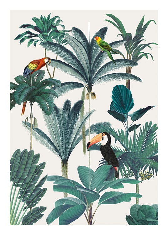Royal Botanical Birds Poster / Vögel bei Desenio AB (13736)