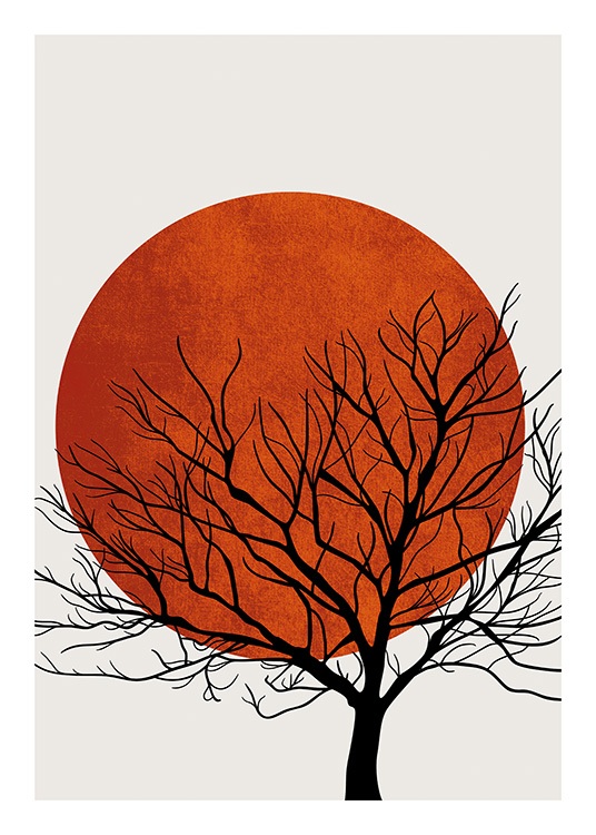 Winter Sunset Poster / Naturmotive bei Desenio AB (13752)