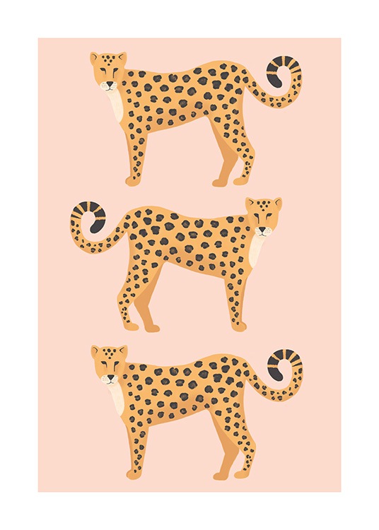 Three Leopards Poster / Tiere bei Desenio AB (13781)