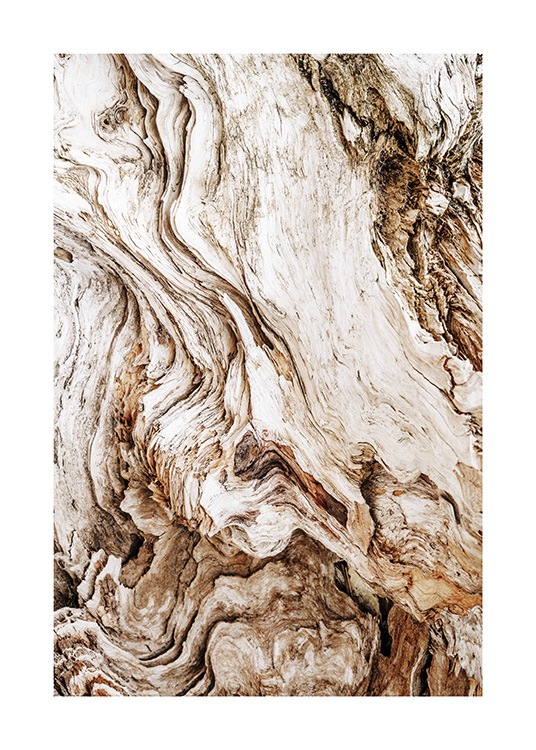 Driftwood Poster / Fotografien bei Desenio AB (13831)