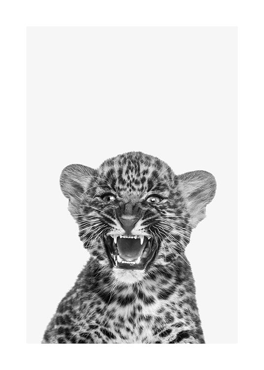 Baby Leopard Poster / Tiere bei Desenio AB (13858)