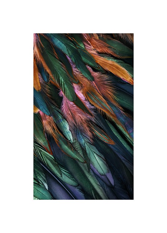  – Fotografie mit Details von bunten Vogelfedern in Blau, Grün, Orange und Rosa