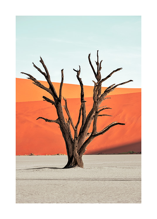 - Fotografie mit einem braunen Baum in einer Wüste, im Hintergrund blauer Himmel und rote Sanddünen