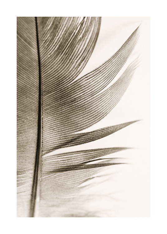  - Fotografie mit der Nahaufnahme einer weichen Feder in Braun vor einem hellbeigen Hintergrund