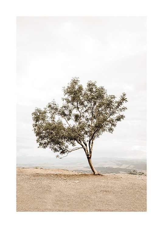  - Fotografie eines schiefen Baumes auf einem Hügel, im Hintergrund eine nebelige Landschaft