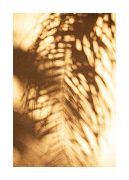  – Fotografie von einer gelben Wand mit dem Schatten eines Palmblatts
