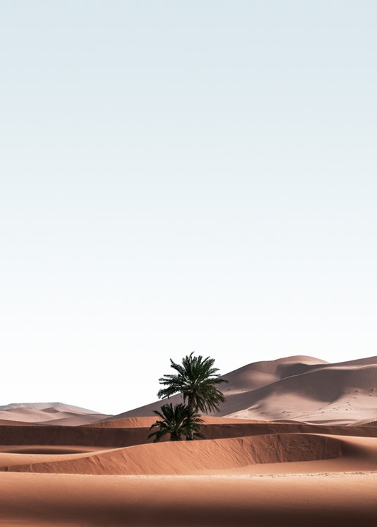  – Fotografie einer Wüstenlandschaft mit Palmen in den Sanddünen