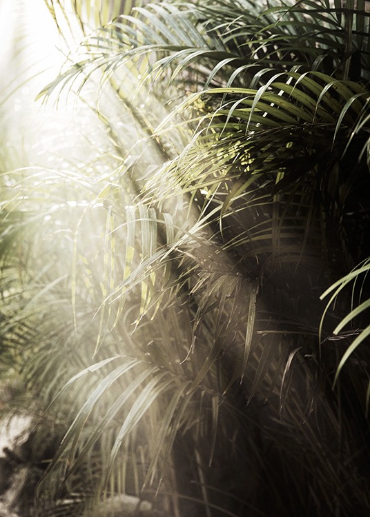 – Fotografie, auf der Sonnenlicht durch grüne Palmblätter fällt