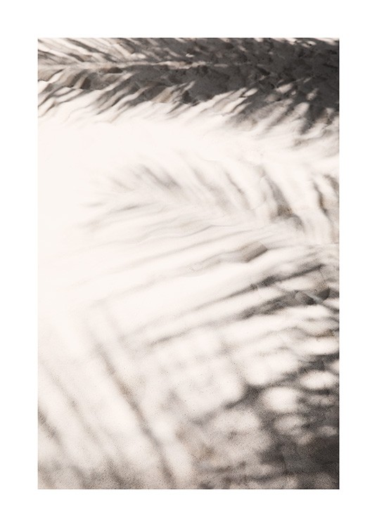  – Fotografie von Palmblättern, die Schatten auf beigem Sand werfen