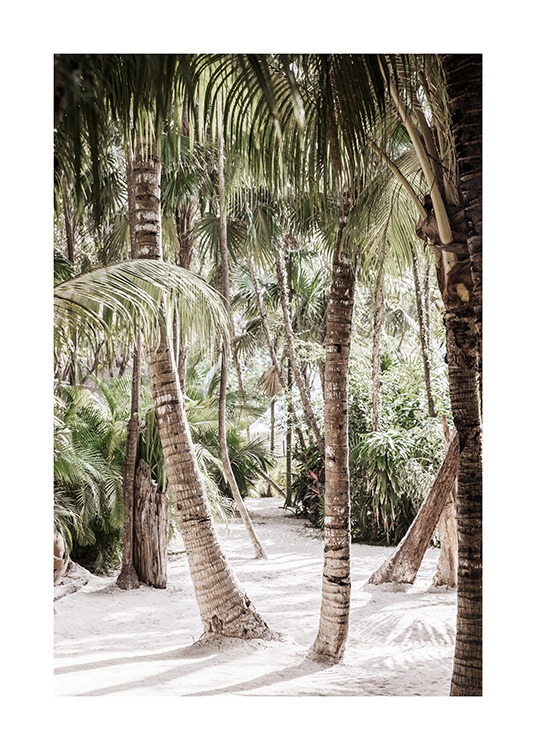  – Fotografie mit einem Palmenhain im Sand