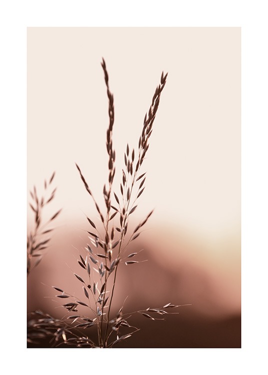  – Fotografie mit der Nahaufnahme von Gräsern vor rosa Himmel