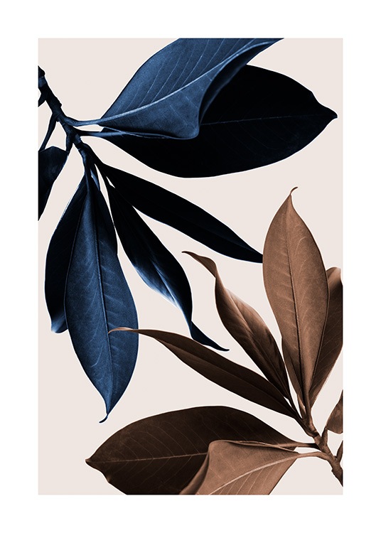  – Fotografie von Magnolienblättern in Braun und Blau auf beigem Hintergrund