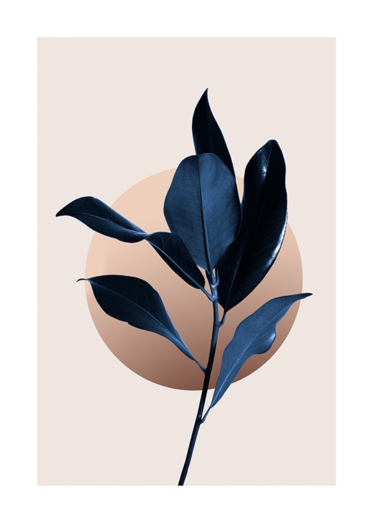  – Dunkelblaue Magnolienblätter mit einem grafisch illustrierten Kreis dahinter auf beigem Hintergrund