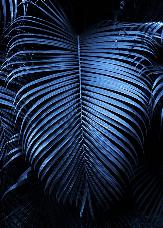  – Fotografie eines großen Palmfächers in Dunkelblau