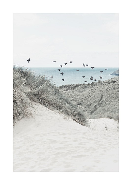  – Fotografie von Sanddünen und Gras mit Vögeln und einem Meer im Hintergrund