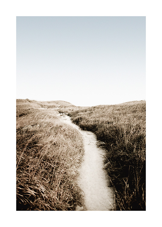  – Fotografie von Gras, das einen Sandweg säumt, mit einem blauen Himmel im Hintergrund