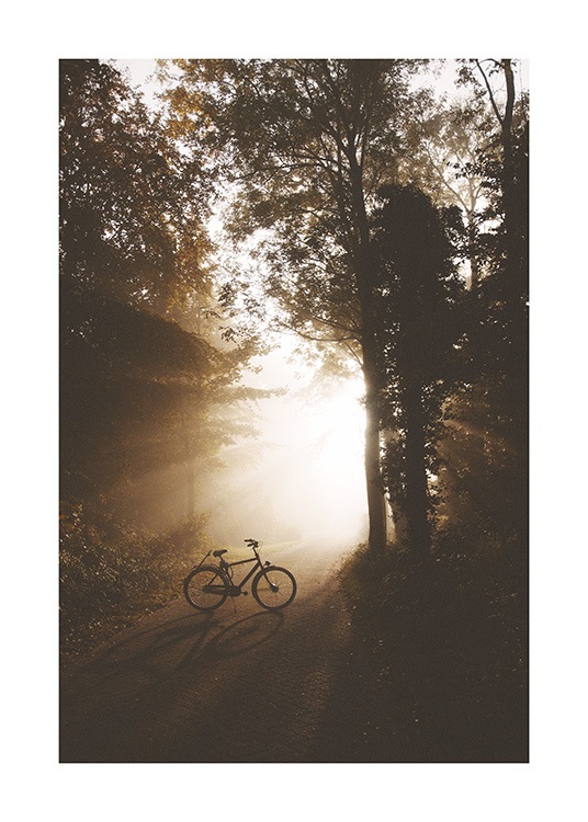  – Fotografie, die ein stehendes Fahrrad auf einer Straße mitten in einem sonnendurchfluteten Wald zeigt