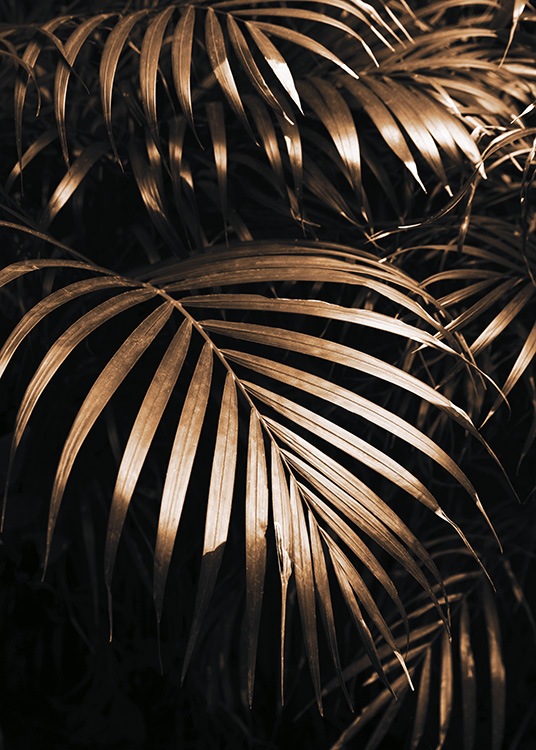  – Fotografie von grünen Palmfächern vor schwarzem Hintergrund