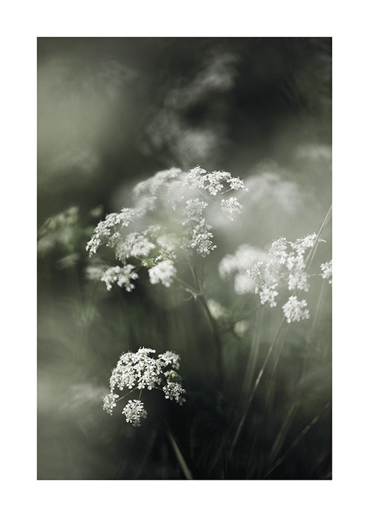  – Fotografie mit der Nahaufnahme von weißen Blumen, umgeben von grünem Gras