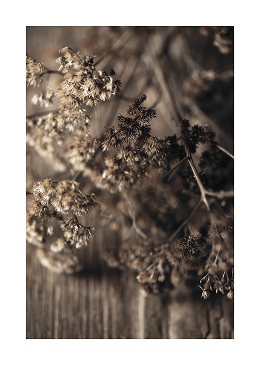 – Fotografie mit der Nahaufnahme von braunen, getrockneten Wiesenblumen, die auf einem Holztisch liegen