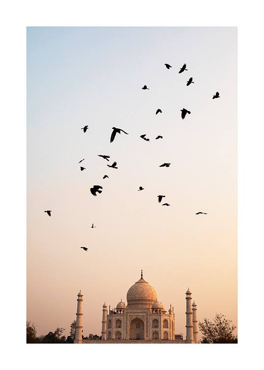  – Fotografie von fliegenden Vögeln mit dem Tai Mahal und einem pastellfarbenen Himmel im Hintergrund