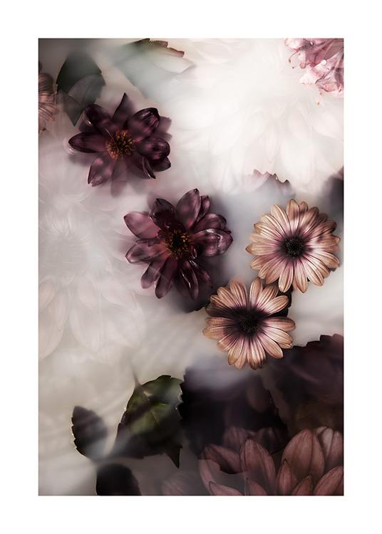  – Fotografie von dunkelvioletten und rosa Blumen, die in einem Milchbad schwimmen
