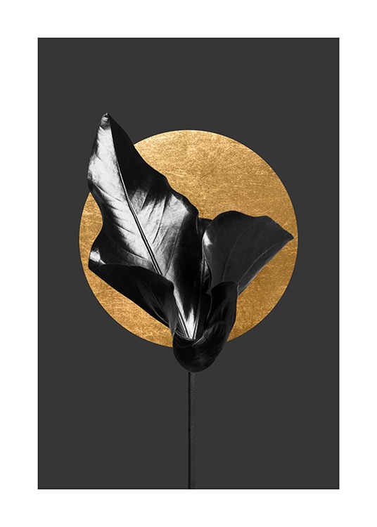  – Fotografie eines Blattes in Schwarz vor einem goldenen Kreis auf einem dunkelgrauen Hintergrund