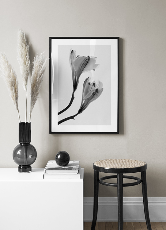 Fading Flower No2 Poster Zwei Weisse Blumen Desenio De
