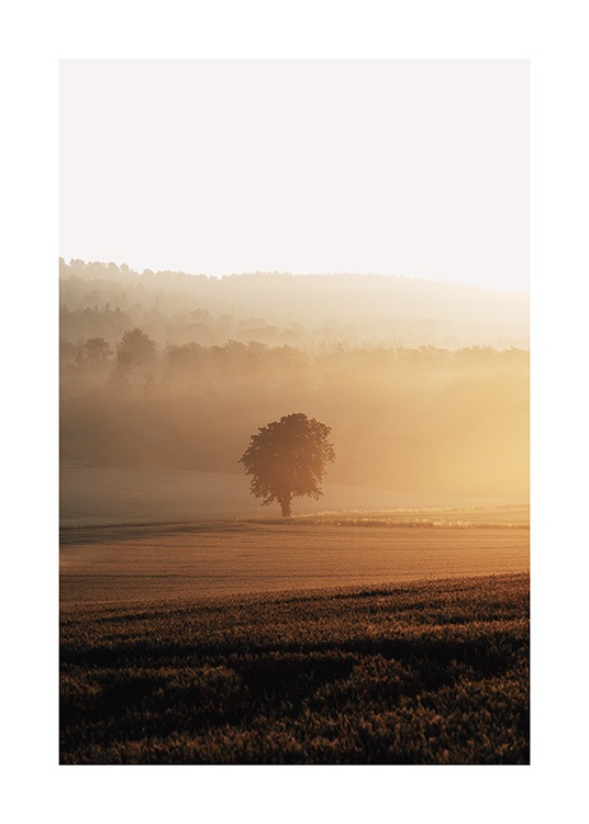  – Fotografie einer in Nebel gehüllten Landschaft mit Feldern und einem Baum in der Mitte bei Sonnenaufgang
