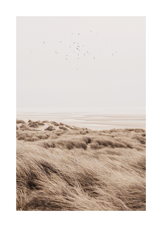  – Fotografie von Vögeln, die über grasbewachsene Sanddünen fliegen