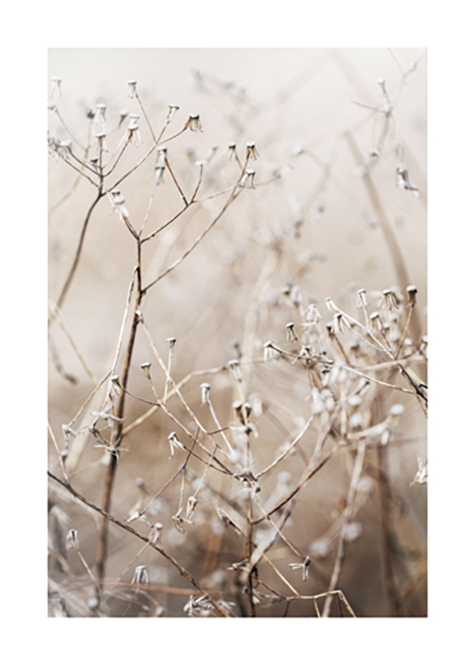  – Fotografie von getrockneten, kleinen Blüten an Zweigen vor beigefarbenem Hintergrund