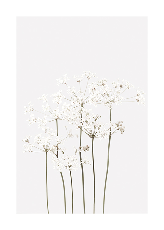  – Wunderbar wilde Blumen in Weiß mit grünen Stengeln auf einem hellgrauen Hintergrund