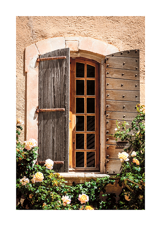  – Fotografie von Rosensträuchern vor einem Haus mit Holzfenster